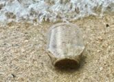 Close-up of a plastic cup on the sandy shore in Malaysia, highlighting pollution issues.